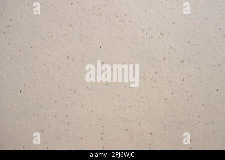 Detail of motled artisan fine paper texture Stock Photo