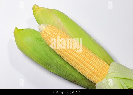 Fresh raw Corncobs or corn ears with green leaves isolated on white background. Stock Photo