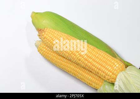 Fresh raw Corncobs or corn ears with green leaves isolated on white background. Stock Photo