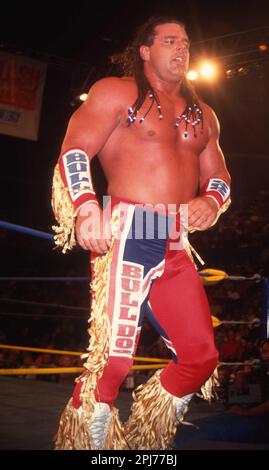 1993 Davey Boy Smith                                                Photo by  John  Barrett/PHOTOlink Stock Photo