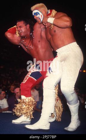 1993 Davey Boy Smith Sting                                             Photo by  John  Barrett/PHOTOlink Stock Photo