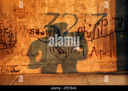 Disturbing silhouette of a person against a graffiti covered urban concrete wall Stock Photo