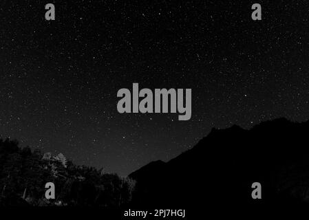 starry sky over a dark mountain near a forest in altai in siberia 2pj7hgj