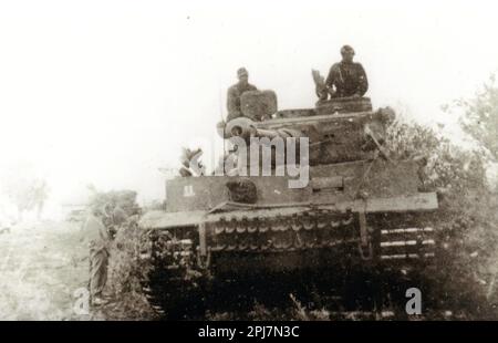 World War Two B&W photo A German Tiger Tank advances during the Kursk Offensive 1943. The Tiger has the Das Reich Division marking on  the Front Stock Photo