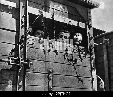 Jews in a railway car on the way to a death camp. Stock Photo