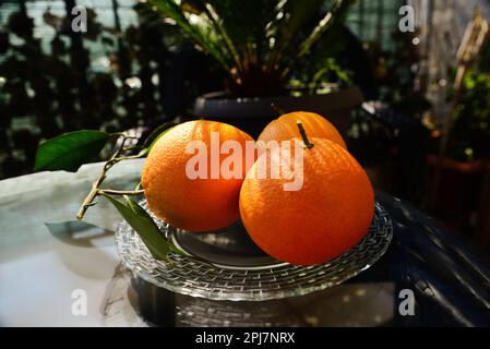 Plate with fresh ripe oranges on glass table outdoors Stock Photo
