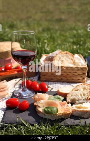 Blanket with wine and snacks for picnic on green grass Stock Photo