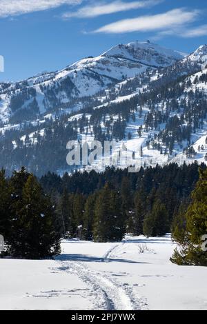 A snowshoe trail winding along the Granite Canyon Trail below the Teton Mountains. Grand Teton National Park, Wyoming Stock Photo