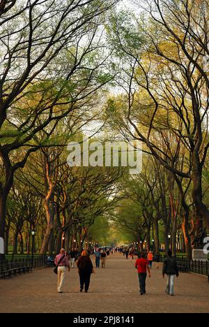 People walk on the Mall in New York City Central Park on an early spring day among the tall stately elm trees Stock Photo