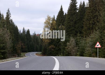 Traffic sign DOUBLE BEND FIRST TO RIGHT near empty asphalt road going through coniferous forest Stock Photo