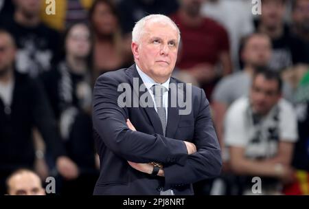 Belgrade. 31st Mar, 2023. Partizan's head coach Zeljko Obradovic reacts during the regular season round 32 Euroleague basketball match between Partizan and Real Madrid in Belgrade, Serbia on March 31, 2023. Credit: Predrag Milosavljevic/Xinhua/Alamy Live News Stock Photo