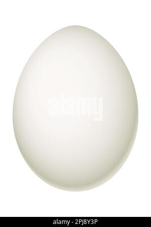 Egg - illustration of white egg on white background Stock Vector