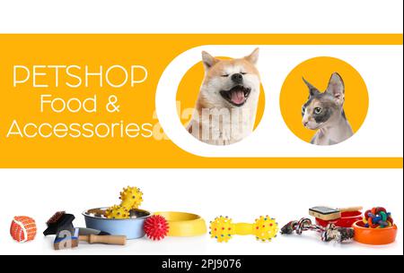 Advertising poster design for pet shop. Cute dog, cat and different accessories on color background Stock Photo