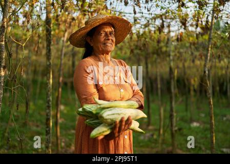 Elderly Indian female farmer smiles holding bunch of big ripe gathered cucumbers. Senior Sri Lankan happy woman on her farm showing her green Stock Photo