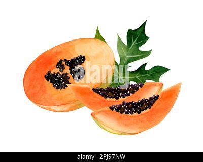 Premium AI Image | 3d fruits realistic focus of papaya