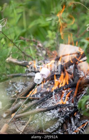 Two marshmallows being toasted on a small garden fire Stock Photo