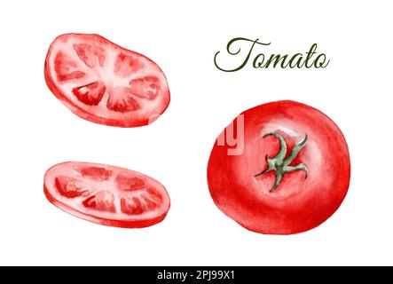 Set of watercolor tomatoes isolated on white background Stock Photo - Alamy