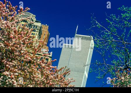 1999 HISTORICAL SPRING BLOSSOMS TWIN TOWERS (©MINORU YAMASAKI 1973) DOWNTOWN MANHATTAN NEW YORK CITY USA Stock Photo