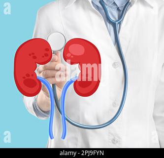 Closeup view of doctor with stethoscope and illustration of kidneys on light blue background Stock Photo