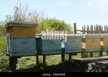 Many Old Bee Hives At Apiary Outdoors On Sunny Day Stock Photo - Alamy