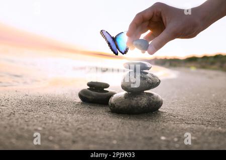 Beautiful butterfly and woman stacking stones on sand near sea at sunset, closeup. Zen concept Stock Photo