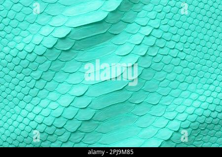 green leather python texture. natural reptile skin background Stock Photo