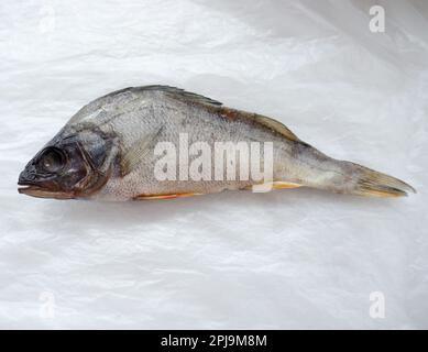 The Dried Fish on a cellophane background. Stock Photo