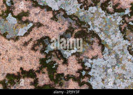 Moss on a stone. Natural high resolution texture Stock Photo