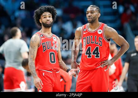 Chicago Bulls' Patrick Williams stands for a headshot during the Bulls NBA  basketball media day Monday, Sept. 26, 2022, in Chicago. (AP Photo/Charles  Rex Arbogast Stock Photo - Alamy