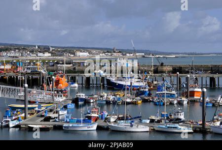 A view of the port of Newlyn with Penzance in the background. Newlyn has a large fishing fleet and also a variety of pleasure craft.Among the many ves Stock Photo