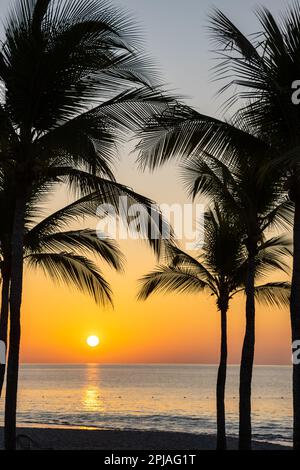 Sunrise behind palm trees on the west coast of Panama. Orange color sky. Early in the morning. Stock Photo
