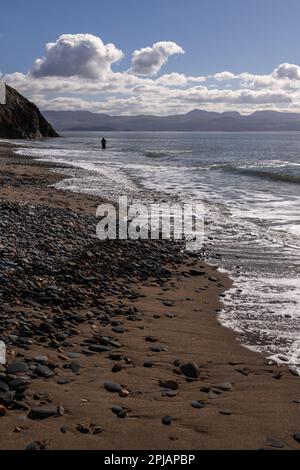 Angler in the surf at Criccieth beach, North wales coast Stock Photo