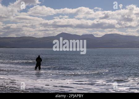 Angler in the surf at Criccieth beach, North wales coast Stock Photo