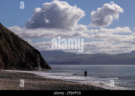 Angler in the surf at Criccieth beach, North wales coast Stock Photo