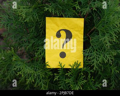 A yellow paper note with a question mark on it hanging on a juniper tree. Close up. Stock Photo