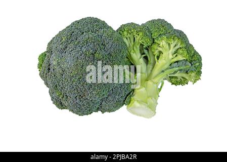Broccoli heads isolated on white. Brassica oleracea var. italica vegetable. Calabrese cabbage Stock Photo