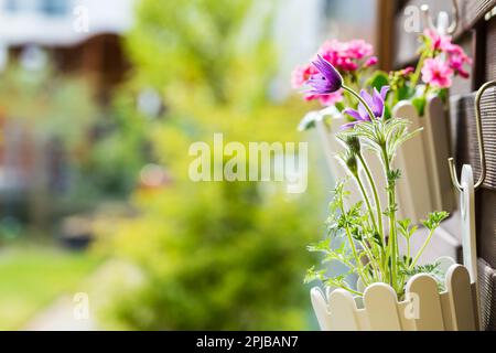 Detail of hanging flower pots on fence Stock Photo