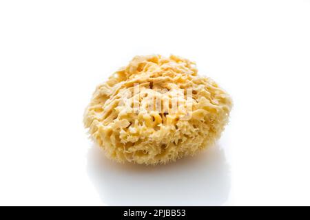 Natural bath sponge isolated on white background Stock Photo