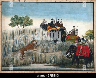 A hunting scene, Europeans on elephants shooting a tiger, gouache painting by an Indian painter, c1800s Stock Photo