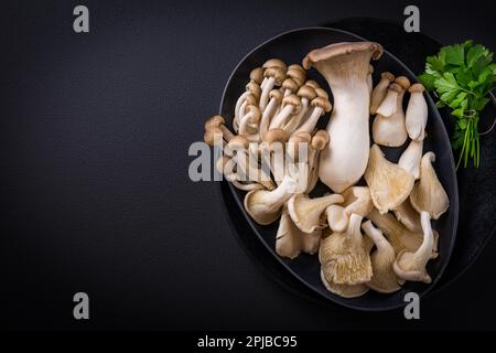Assortment of edible mushrooms rich in umami tasting on black background - beech shimeji, oyster mushroom and king oyster mushroom Stock Photo