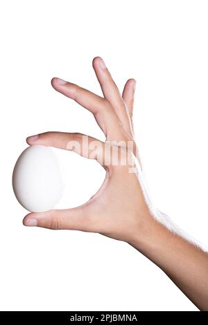 Egg in hand on white background with clipping path Stock Photo