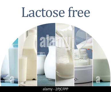 Collage with photos of lactose free dairy products on white background Stock Photo