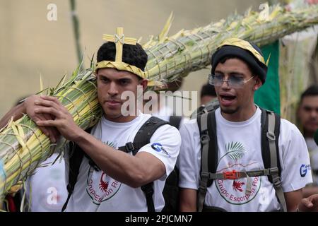 Chacao, Venezuela. 01st Apr, 2023. A man carries the palm trees he previously collected on Cerro El Avila, which are transformed into crosses in Chacao, Caracas, to reenact the biblical passage of Jesus' entry into Jerusalem. The tradition of the Palmeros de Chacao, which is more than 250 years old, is registered in the Unesco register of good conservation practices and is to become a World Heritage Site. Credit: Pedro Rances Mattey/dpa/Alamy Live News Stock Photo