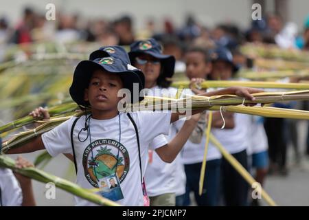 Chacao, Venezuela. 01st Apr, 2023. Young parishioners carry the palms they previously collected at Cerro El Avila, which are transformed into crosses in Chacao, Caracas, to re-enact the biblical passage of Jesus' entry into Jerusalem. The tradition of the Palmeros de Chacao, which is more than 250 years old, is registered in the Unesco register of good conservation practices and is to become a World Heritage Site. Credit: Pedro Rances Mattey/dpa/Alamy Live News Stock Photo