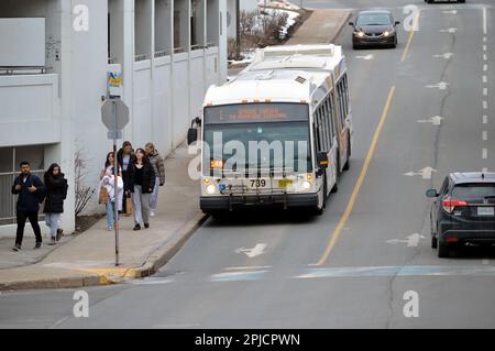 Halifax Transit articulated Novabus (route 1) on East Perimeter Road, Halifax, Canada next to the Halifax Shopping Centre Stock Photo