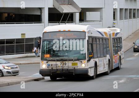 Halifax Transit articulated Novabus (route 1) on East Perimeter Road, Halifax, Canada next to the Halifax Shopping Centre Stock Photo