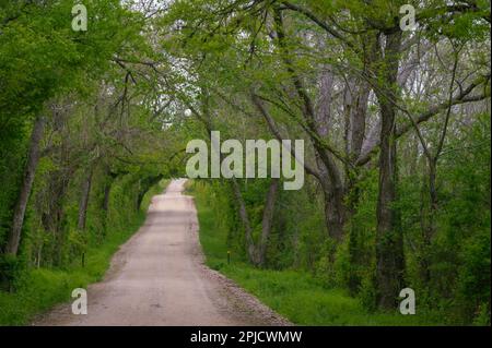 Travel along a rural road in springtime. Stock Photo