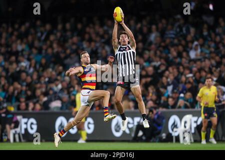 Connor Rozee of the Power marks the ball over Brodie Smith of the