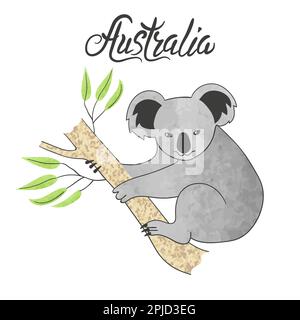 Cute koala isolated on white. Vector illustration. Stock Vector