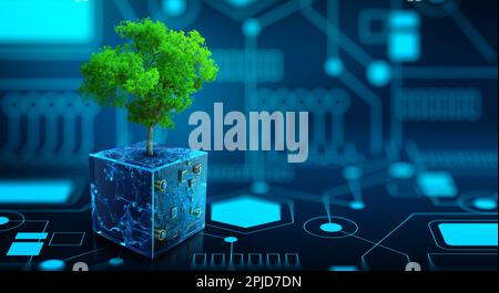 Tree growing on Circuit Digital Cube. Digital and Technology Convergence. Blue light and Wireframe network background. Green Computing. Stock Photo